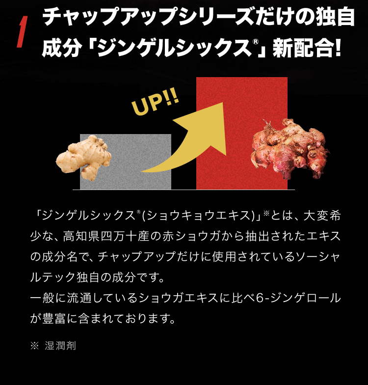 1.�`���b�v�A�b�v�����̓Ǝ������u�W���Q���V�b�N�XR�v�V�z��!