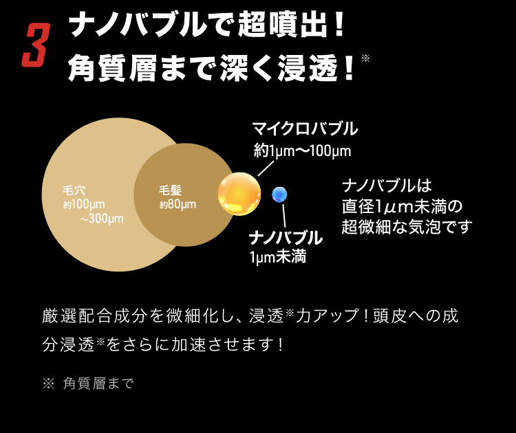 3.�i�m�o�u���Œ����o�I�p���w�܂Ő[���Z���I