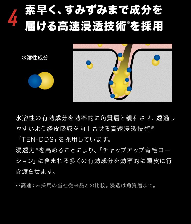 4.�f�����A���݂��݂܂Ő�����͂��鍂���Z���Z�p���̗p