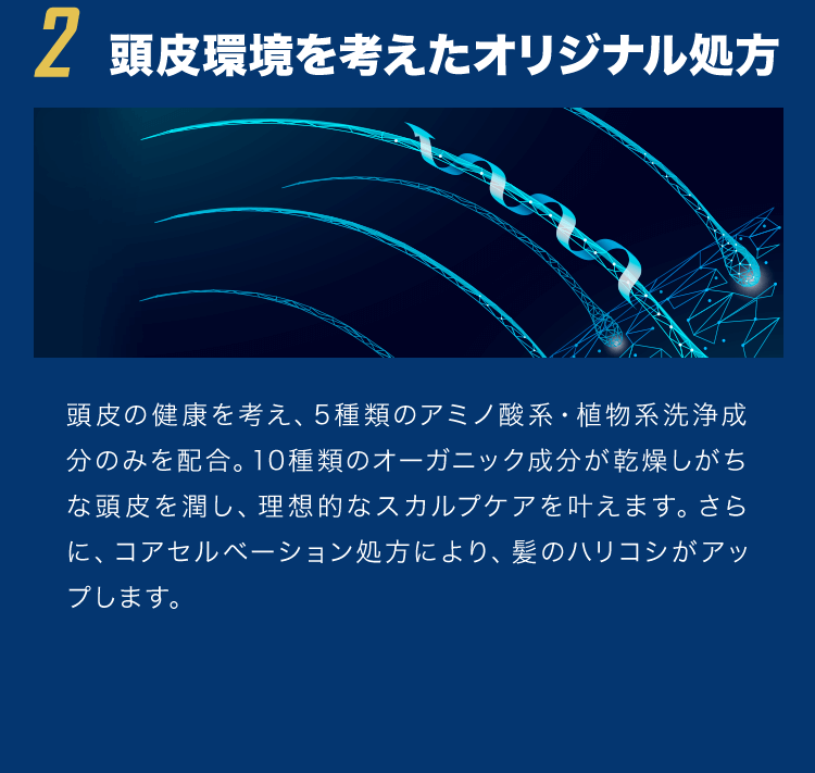 2.��������l�����I���W�i������