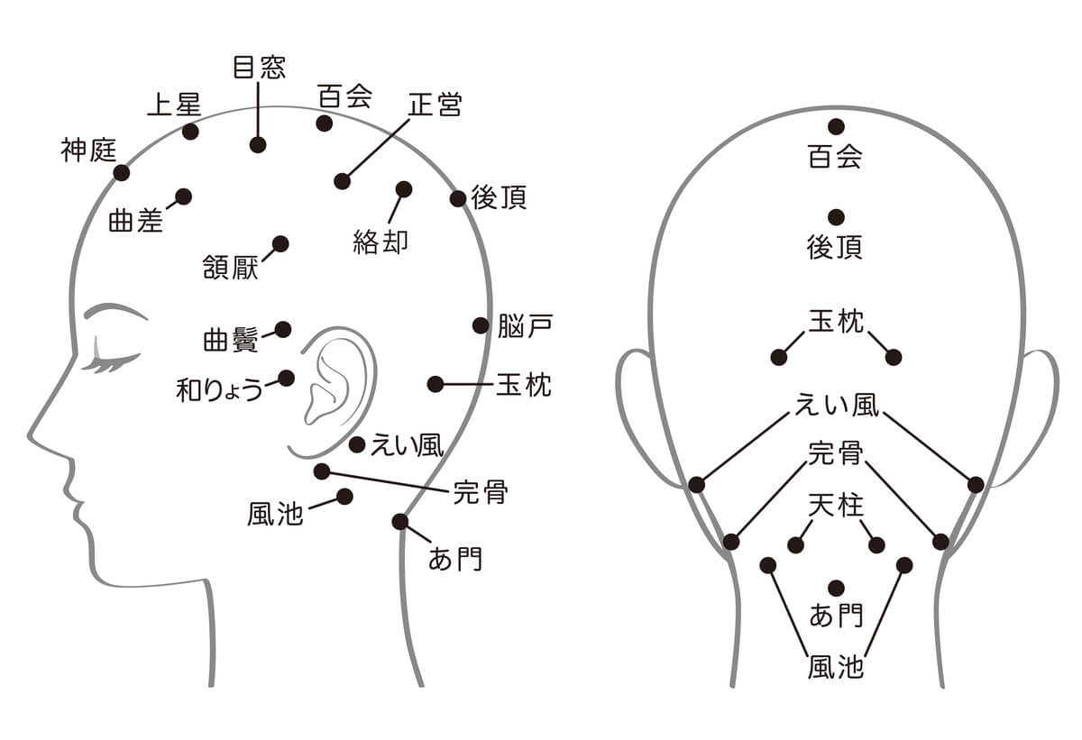 頭のツボ