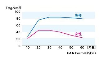 男性と女性の年齢別の皮脂の分泌量の推移