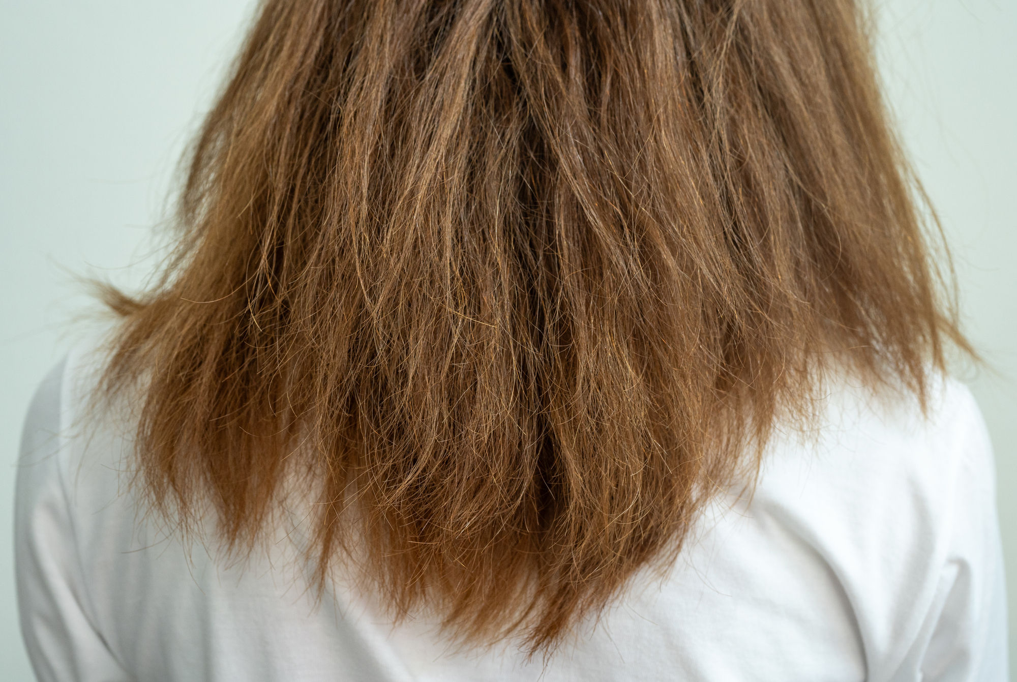 髪の毛がチリチリになる原因と改善策を解説！自宅で治すヘアケア方法とは