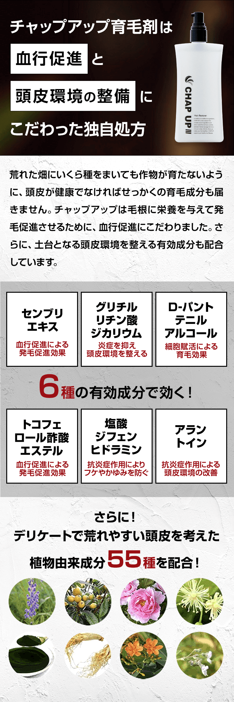 チャップアップは血行促進と頭皮環境の整備にこだわった独自処方