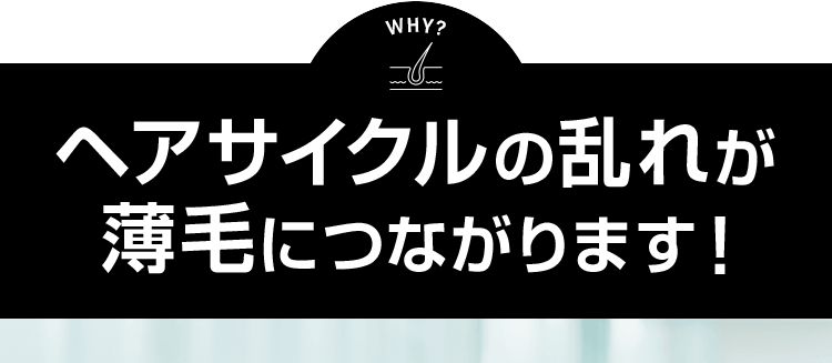 ヘアサイクルの乱れが薄毛につながります！