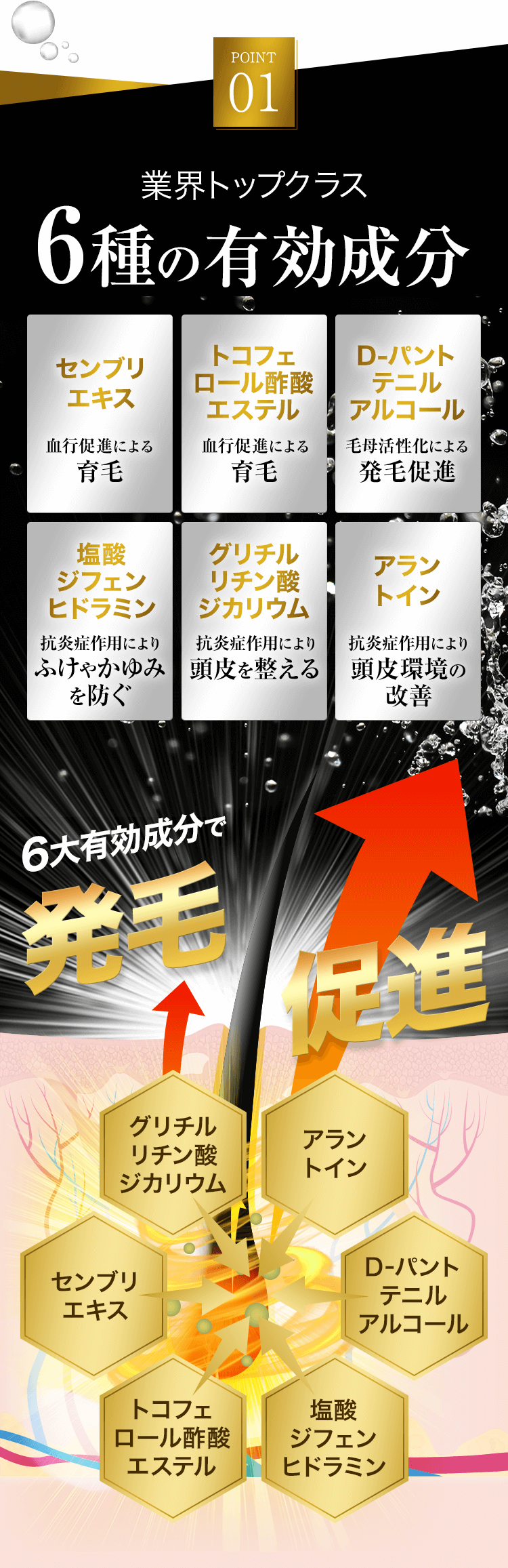 業界トップクラス 6種の有効成分