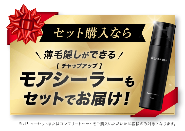 セット購入なら、薄毛隠しができるモアシーラーもセットでお届け！