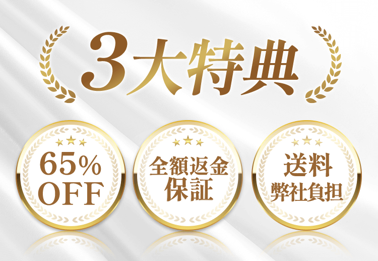 3大特典 65％OFF・全額返金保証・送料弊社負担