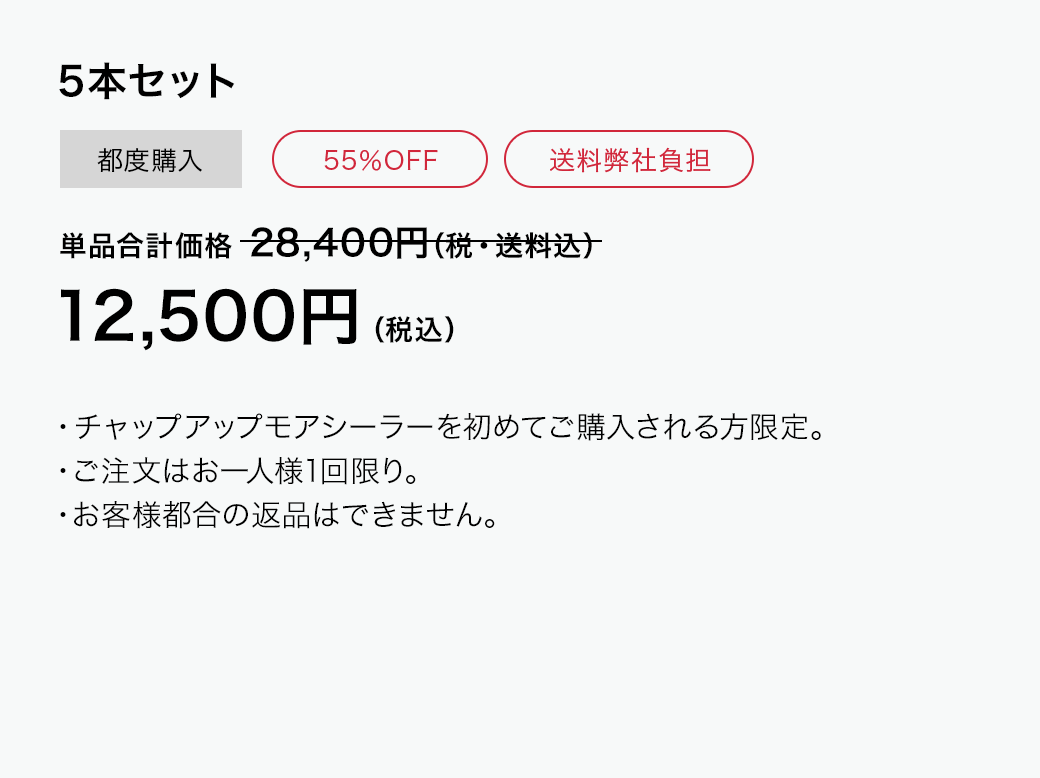チャップアップモアシーラー　5本