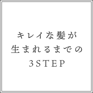 キレイな髪が生まれるまでの3STEP
