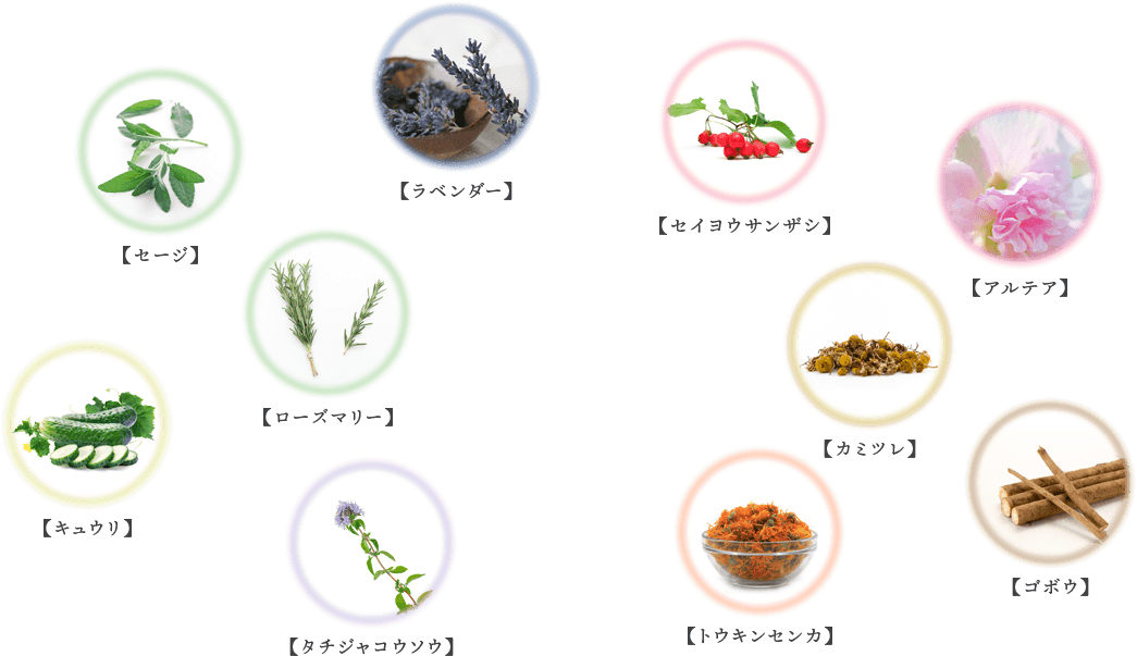 植物系成分22個・オーガニック成分10種