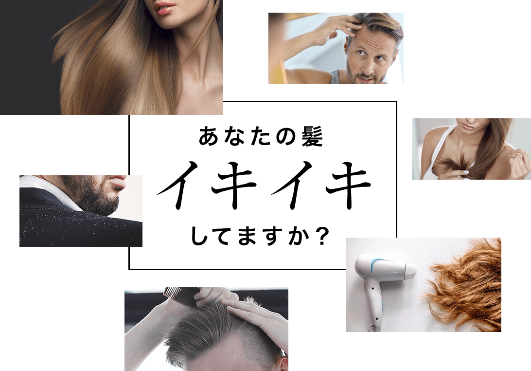 抜け毛・薄毛 ハリ・コシがない フケや頭皮のかゆみ 髪の傷み・ダメージ あなたの髪イキイキしてますか?