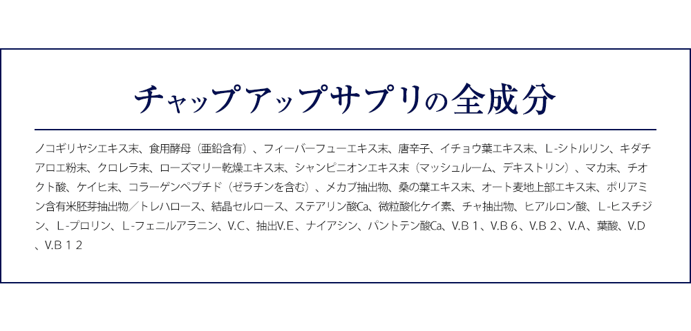 チャップアップサプリの全成分