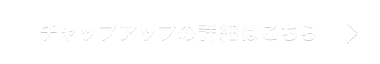 チャップアップの詳細はこちら