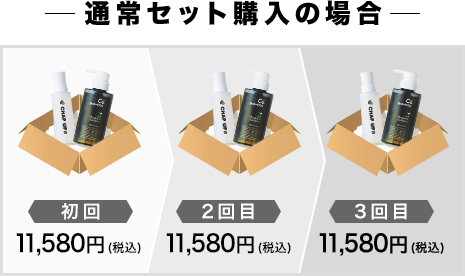 通常セット購入の場合