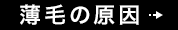 薄毛の原因